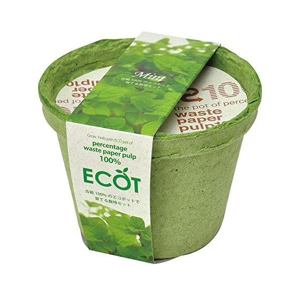 【ご購入後の当店からの連絡はご登録のメールアドレスに通知いたします。必ずご確認ください】【商品概要】原産国:日本梱包サイズ:13.0 x 13.0 x 9.0 cm素材:再生古紙【商品説明】サイズ:S | スタイル:ミント 地球にやさしい国...