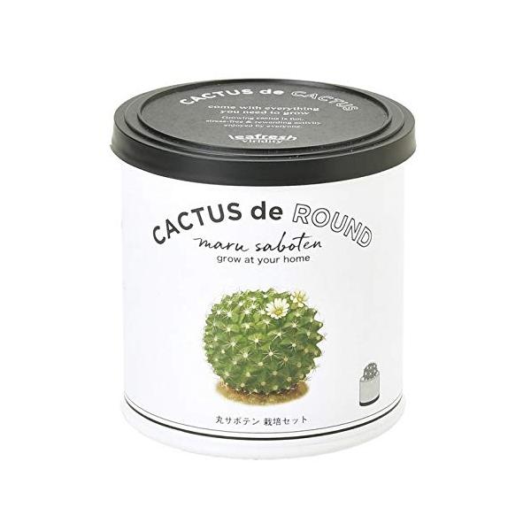 【ご購入後の当店からの連絡はご登録のメールアドレスに通知いたします。必ずご確認ください】