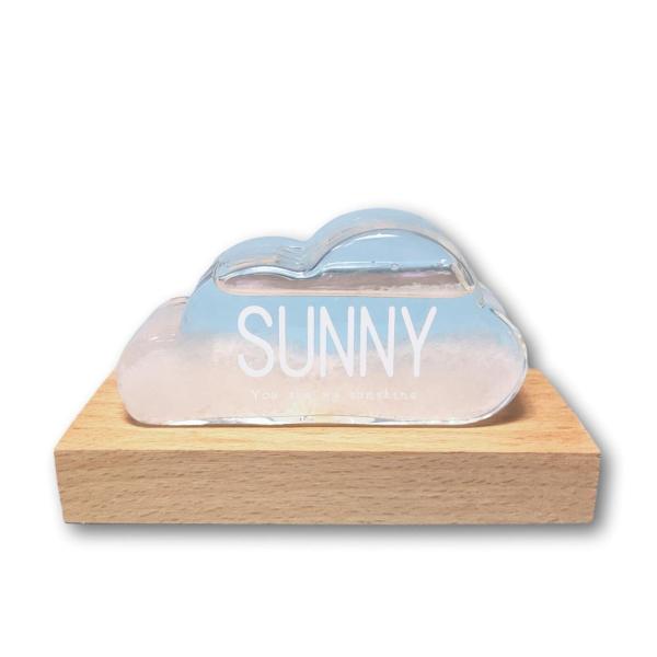 【ご購入後の当店からの連絡はご登録のメールアドレスに通知いたします。必ずご確認ください】