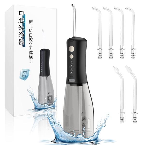 口腔洗浄器 ジェットウォッシャー ウォーターフロス 替えノズル6本 4