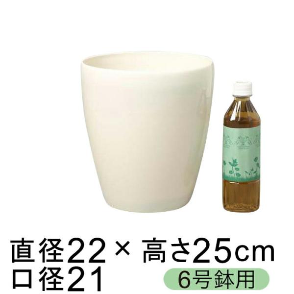 植木鉢 おしゃれ 鉢カバー ラスターポット 225型 22cm 白 6号鉢用 Buyee Buyee 日本の通販商品 オークションの代理入札 代理購入