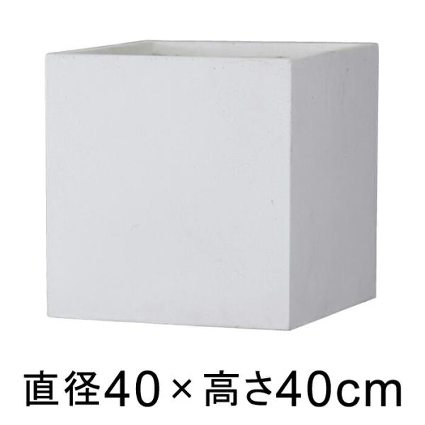 バスク キューブ 40cm ホワイト【送料無料】【メーカー直送・同梱不可 