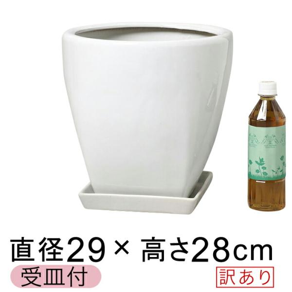 訳あり ツルツル 上丸下角型 陶器鉢 白 ホワイト つや有 M 29cm 11リットル 受皿付 植木鉢 陶器 7号鉢用 鉢カバー Of Buyee Buyee 提供一站式最全面最專業現地yahoo Japan拍賣代bid代拍代購服務 Bot Online