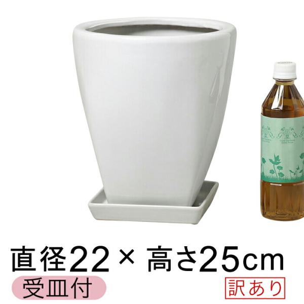 訳あり ツルツル上丸下角型 陶器鉢 白 ホワイト つや有 S 22cm 5 5リットル 受皿付 植木鉢 鉢カバー 陶器 Of25 Buyee Buyee Japanese Proxy Service Buy From Japan Bot Online