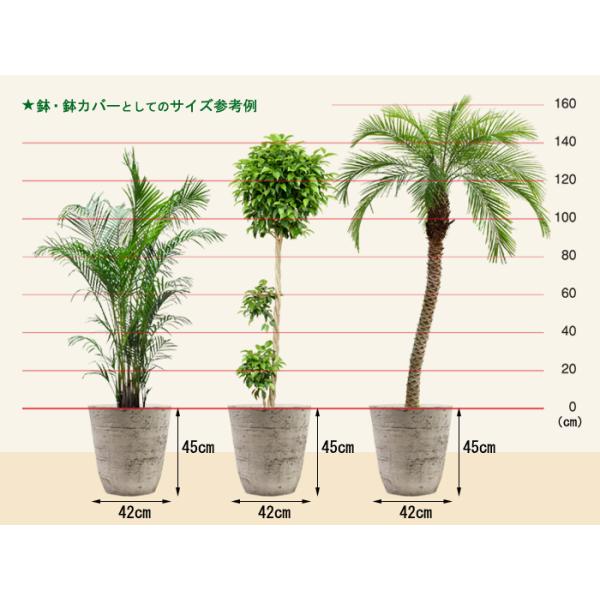植木鉢 おしゃれ 大型 軽量 合成樹脂製ポット 丸型 42cm 39リットル ライトグレー系 10号鉢適合 鉢カバー Buyee Buyee 일본 통신 판매 상품 옥션의 대리 입찰 대리 구매 서비스