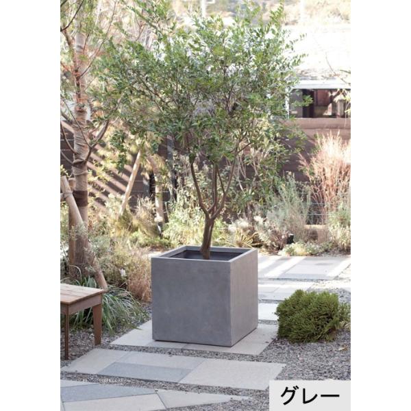 おしゃれ モダン 植木鉢 ベータ キューブ プランター グレー 23cm 陶器やテラコッタより軽量なセメントプランター スクエア 角型 四角 ファイバー Buyee Buyee 提供一站式最全面最專業現地yahoo Japan拍賣代bid代拍代購服務 Bot Online