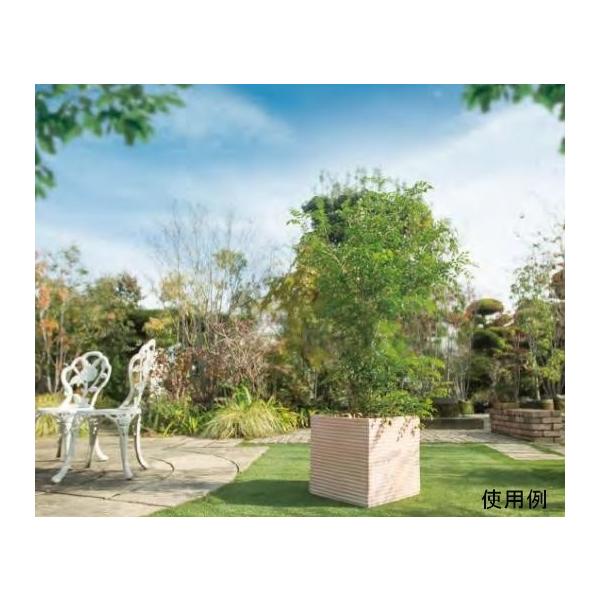 横縞 キューブ型 素焼き鉢 テラコッタ 鉢 特大 42cm 対角線の長さ60cm 46リットル メーカー直送 日時指定不可 同梱不可 代引不可 返品不可 Buyee Buyee Japanese Proxy Service Buy From Japan Bot Online