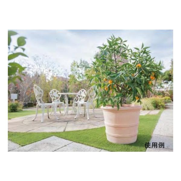 横ライン 丸リム型 素焼き鉢テラコッタ鉢 54cm 57リットル 植木鉢 鉢 陶器鉢テラコッタ素焼き大型 メーカー直送 日時指定不可 同梱不可 代引不可 返品不可 Buyee Buyee Japanese Proxy Service Buy From Japan Bot Online