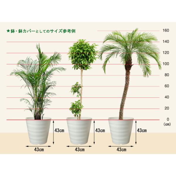 植木鉢 大型 フレグラーポット 43cm ダークグリーン 40リットル 室内使用には大きすぎることもありますのでサイズをよくご確認下さい プラスチック 軽い Buyee Buyee 日本の通販商品 オークションの代理入札 代理購入