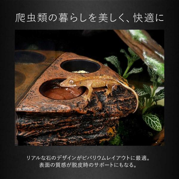 爬虫類 水入れ エサ入れ マグネット ウォーターディッシュ 餌入れ エ