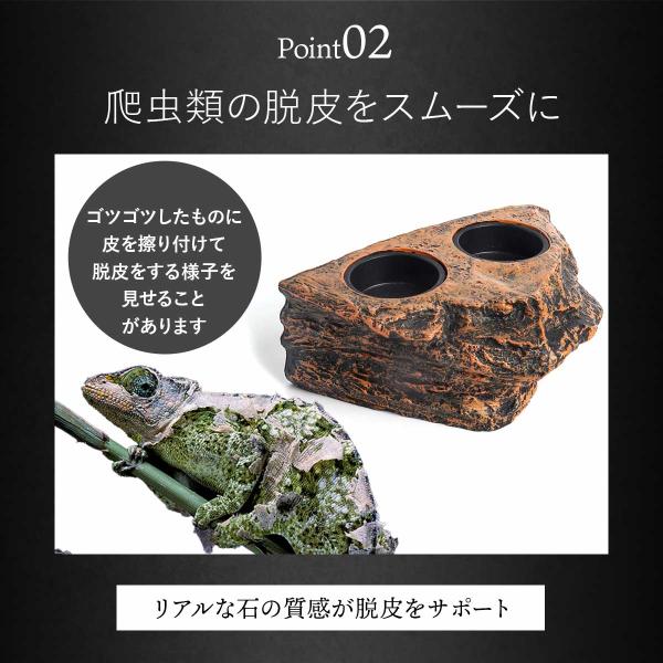 爬虫類 水入れ エサ入れ マグネット ウォーターディッシュ 餌入れ エ