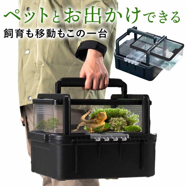 爬虫類ケージ 804035 ストッパー付属 ゲージ 楽天市場】爬虫類