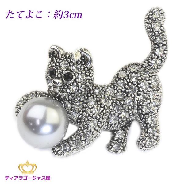 u[` fB[X qL {[ lR ubNp[ cat kitten p[ XtXL[ v[g tH[} w Ǝ