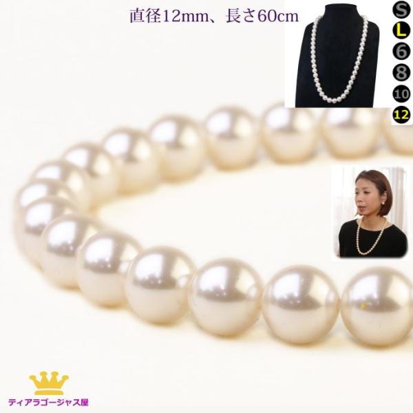 lbNX p[ C~e[Vp[   ig tH[} Ǝ w EFfBO O fB[X