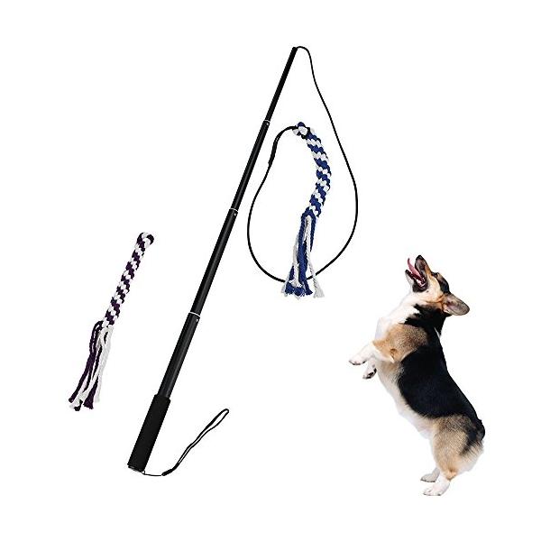 犬用 ロープ Ang 犬じゃらし 犬のおもちゃ 釣竿型 四節伸縮できる杖付き 交換用おもちゃ付き 大型犬 丈夫 L ブラック S 0718 Gorira 通販 Yahoo ショッピング