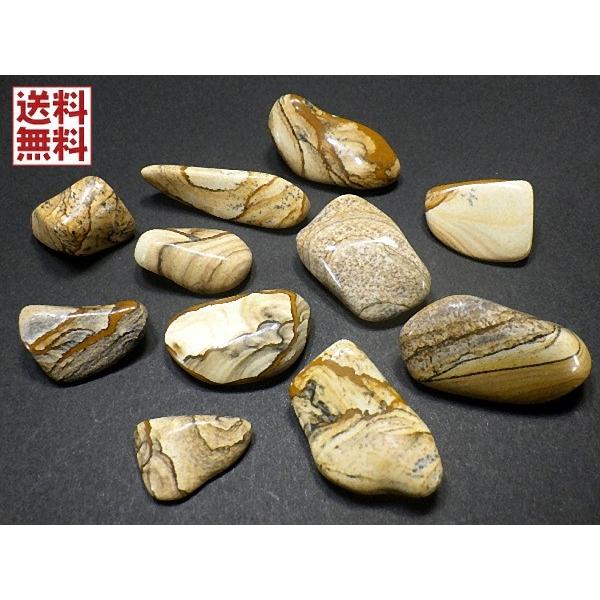 ピクチャージャスパー １００ｇパック 碧玉 へきぎょく Picture Jasper 詰め合わせ 全国送料無料