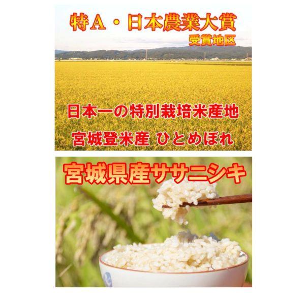 令和7年 宮城県産ひとめぼれ ササニシキ玄米20kg(10kg×2) 精米無料 食べ比べ令和7年宮城県登米市産 ひとめぼれ×ササニシキ 玄米10kg（5kg