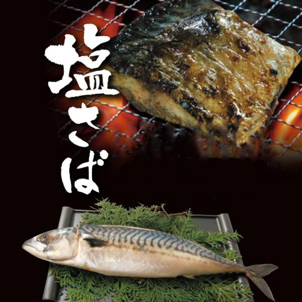 鳥取県の塩サバ 酒ノ津仕立て 中 300g×5枚 冷蔵 真空パック 上野商店 鯖 さば ノルウェー産