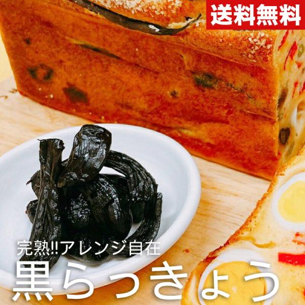 お試し 1袋 40g 鳥取産 農家さんの完熟黒らっきょう 40g×1袋 アレンジ自在 農家さん手作り 調味料 そのまま食べても 自宅用 鳥取特産 クリックポスト