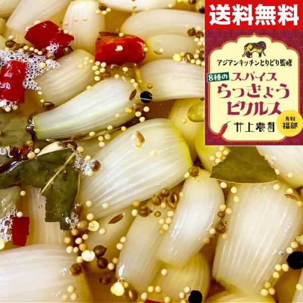 送料無料 スパイスらっきょうピクルス 鳥取産らっきょう使用 1袋100g スパイス入り 手作り 漬け物 アジアンキッチンとりどり監修 クリックポスト