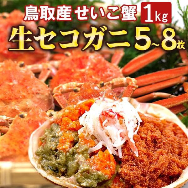 予約 鳥取産セコガニ 活生（親がに/せいこ蟹/せこがに）5〜8枚 約1kg 訳あり 姿 本ズワイガニ メス お徳用 親ガニ 松葉ガニ 雌 中村商店 2026年 冷蔵