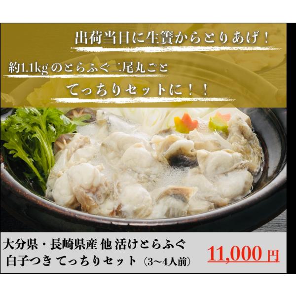 活けとらふぐ てっちりセット 白子入り（３〜４人前）