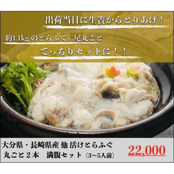 活けとらふぐ 丸ごと２本 満腹セット（４〜５人前）