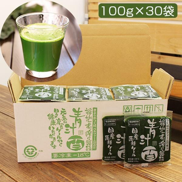 青汁百 100g 30袋セット 冷凍 国産ケール 完全無添加100 ジュース 栽培期間農薬不使用 ベルファーム Bellfarm Aojiru30 グルメロディ 通販 Yahoo ショッピング