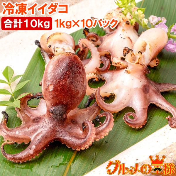 イイダコ いいだこ 業務用 10kg 1kg×10 タコ たこ 蛸 飯蛸 冷凍 バラ凍結 チュクミ ポックム 韓国料理 鍋 おでん 飯蛸 たこ飯 下処理済み 築地市場 豊洲市場