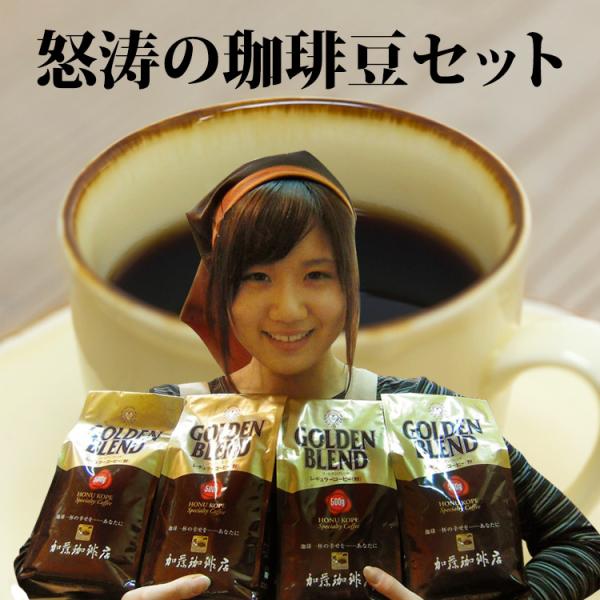 コーヒー豆 コーヒー 2kg 怒涛の珈琲豆セット (G500×4)  珈琲豆 送料無料 加藤珈琲