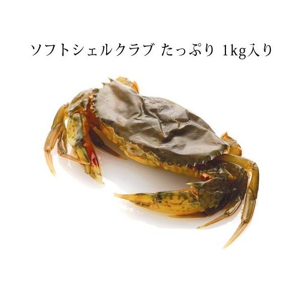 P[X ̔ \tgVFNu@vCTCY70g×14Ci1Lj×6pbN  I@ 