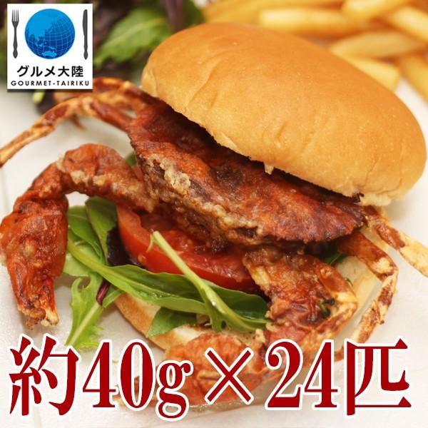 P[X ̔ \tgVFNu@~fBATCY40g×24Ci1Lj×6pbN@1P[X@iP[X̔j@I@