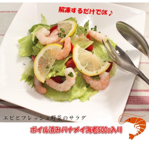 xgi ނ CV 500g  {C ς 𓀂邾 Ⓚ с@ⓀHi