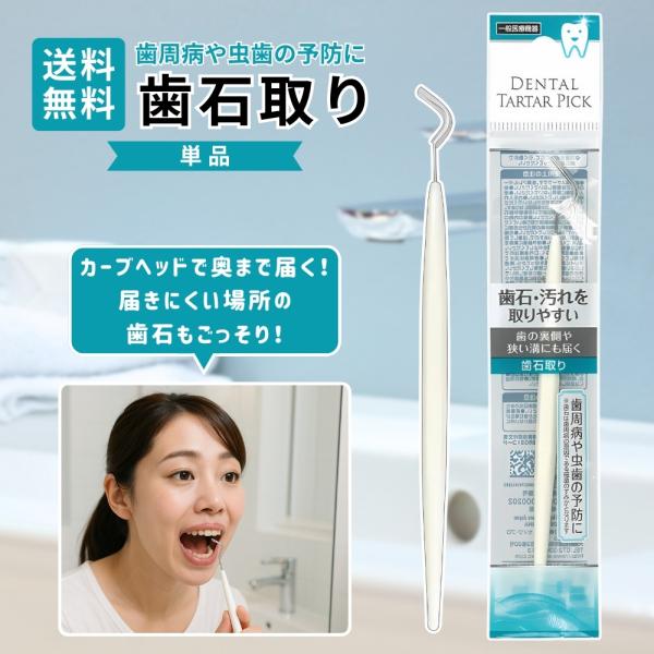 歯石取り 歯の裏や溝に届く 1個 虫歯・歯周病予防に セルフケア用 デンタルツール オーラルケア ステンレス製