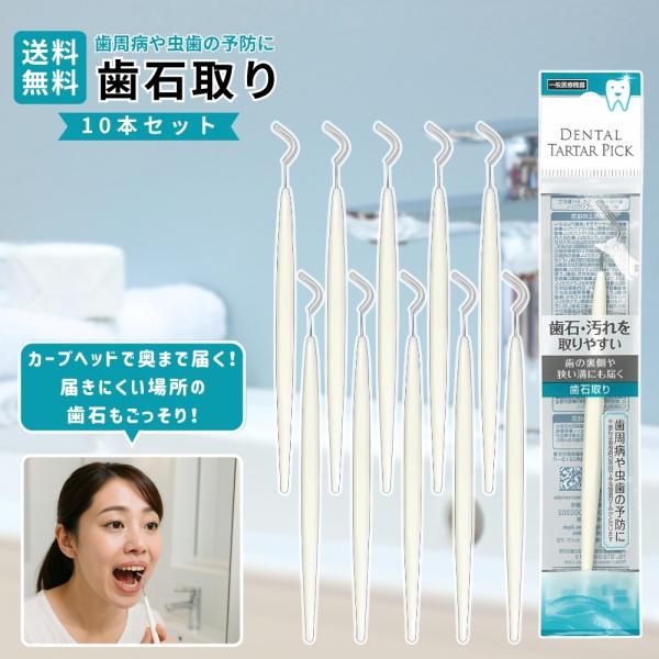 『プレミアムな日曜日■限定クーポン』歯石取り 歯の裏や溝に届く 10個 虫歯・歯周病予防に セルフケア用 デンタルツール オーラルケア ステンレス製