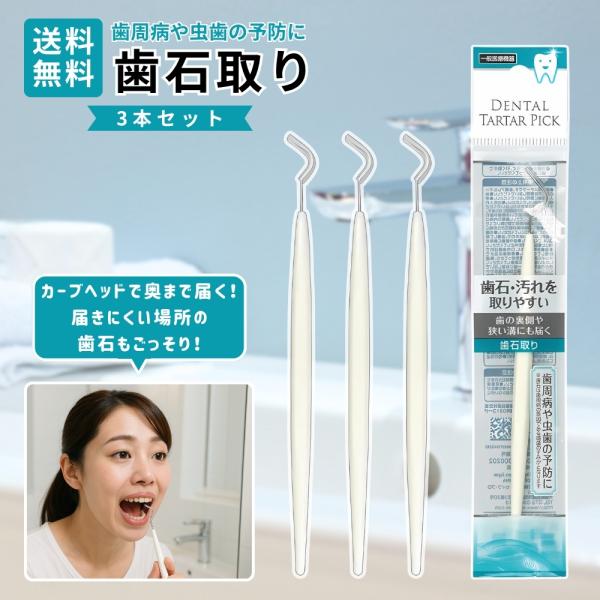 『プレミアムな日曜日■限定クーポン』歯石取り 歯の裏や溝に届く 3個 虫歯・歯周病予防に セルフケア用 デンタルツール オーラルケア ステンレス製