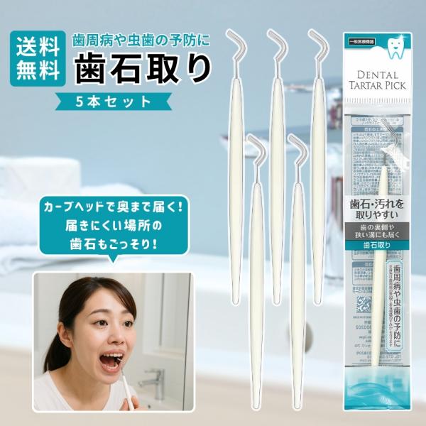 『プレミアムな日曜日■限定クーポン』歯石取り 歯の裏や溝に届く 5個 虫歯・歯周病予防に セルフケア用 デンタルツール オーラルケア ステンレス製