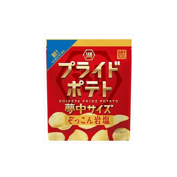 送料無料 湖池屋 夢中サイズ 湖池屋プライドポテト ぞっこん岩塩 102g×12袋