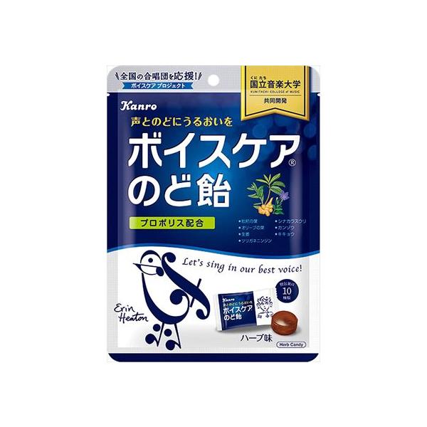 キャンディー ボイスケアのど飴の人気商品・通販・価格比較 - 価格.com キャンディー ボイスケアのど飴の人気商品・通販・価格比較 - 価格.com