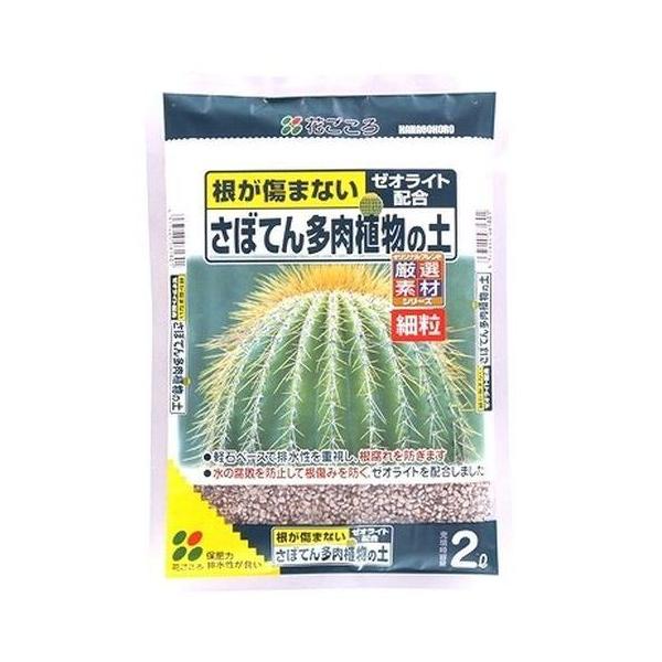 多肉植物　花サボテン　フラメンコ （別名：トウモロコシ） 花ごころ さぼてん多肉植物の土 2リットル : グリーンプラザ山長ヤフー