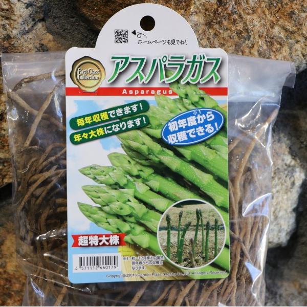 gp-yamacho_asparagus1