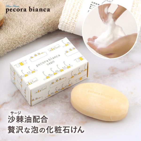 pecora bianca T|[iϐ΂j yRrAJ A F TXeiu  Y {fBVv[  GR oXObY ΂ Mtg