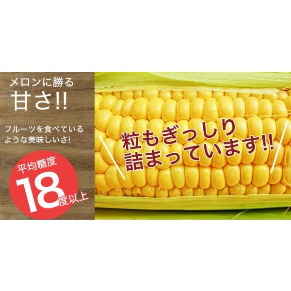 北海道産 ゴールドラッシュ 10本 Tv放映で大ヒット 送料無料 ８月下旬収穫次第発送 とうもろこし トウモロコシ 北海道 旬 季節限定 野菜 Prettyfunnyballoons Com