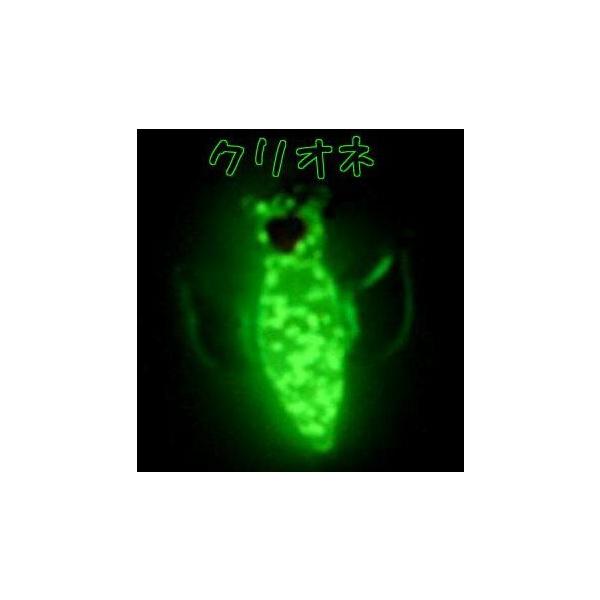 蓄光ガラス ストラップ クリオネ 蓄光 夜光 光る 携帯ストラップ