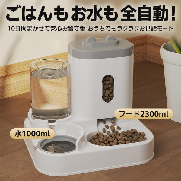 grace-co_pm002_1_d_20250409193951