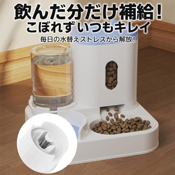 grace-co_pm002_3_d_20250409194020