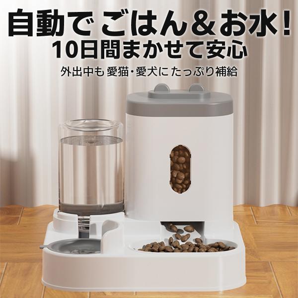 grace-co_pm002_4_d_20250409194008