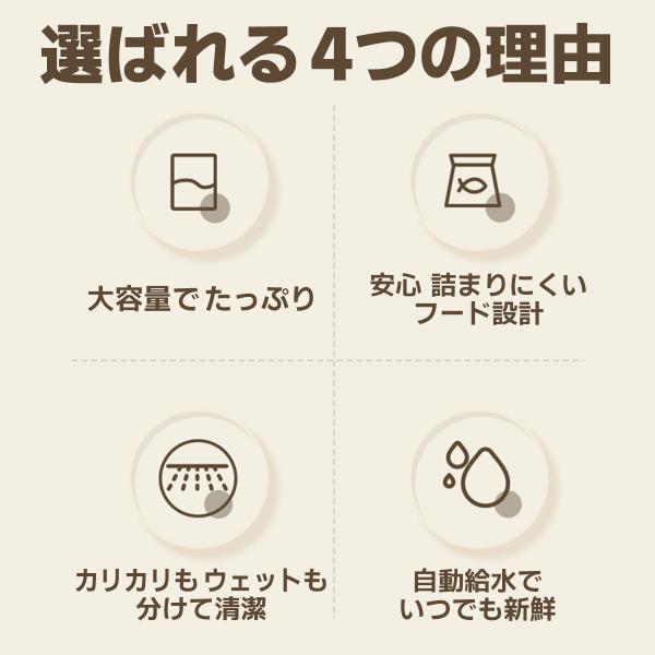 grace-co_pm002_5_d_20250409194039