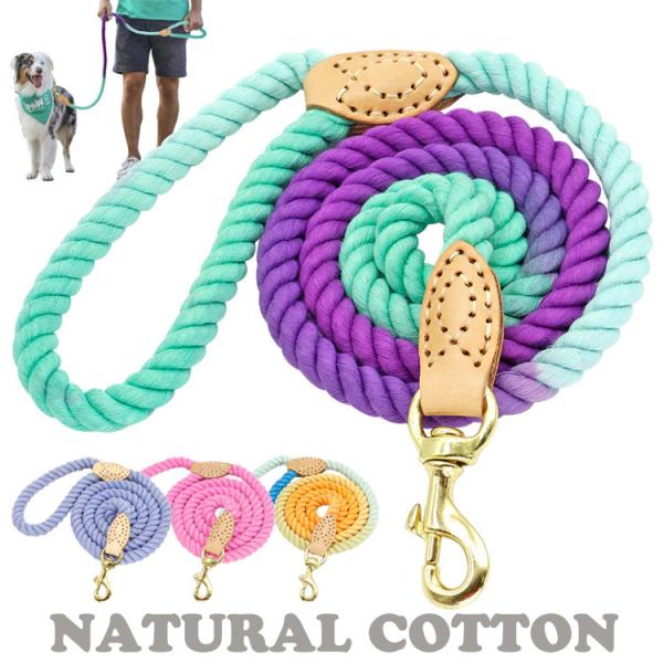 大型犬 リード 革 みんな探してる人気モノ 大型犬 リード 革 ペット ペットグッズ