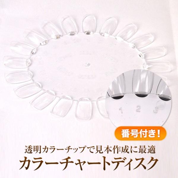 【在庫限り】【ゆうパケット対象商品】透明カラーチャートディスク 20色用